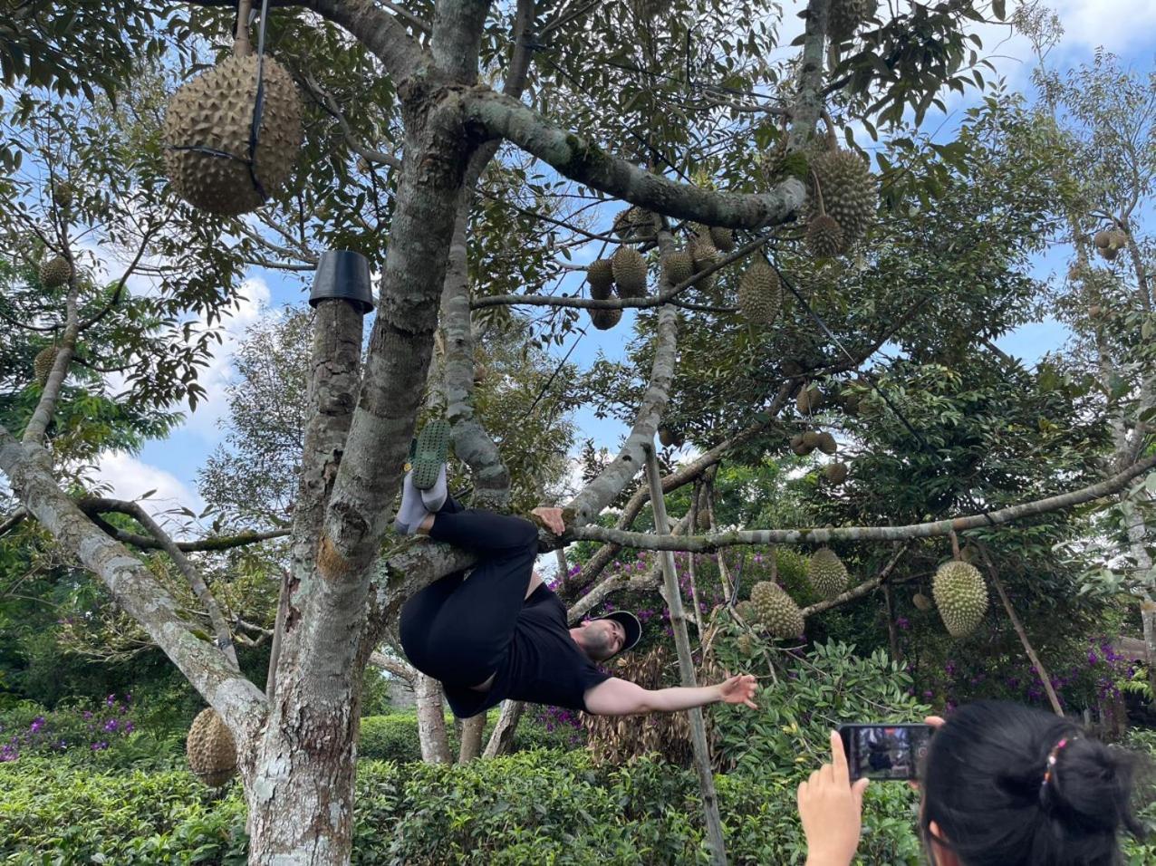 Tea Garden House Villa Bảo Lộc Eksteriør billede